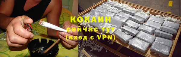 индика Краснотурьинск