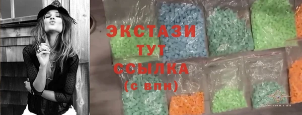 индика Краснотурьинск