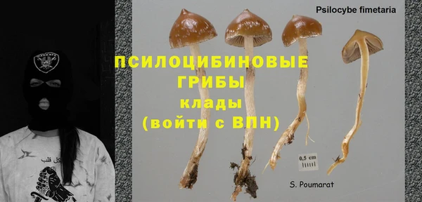 PSILOCYBIN Краснослободск