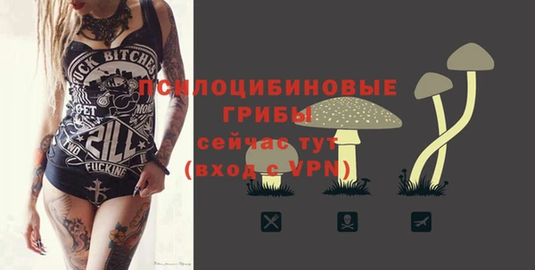 индика Краснотурьинск