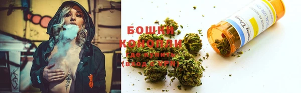 индика Краснотурьинск