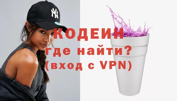 индика Краснотурьинск