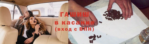 индика Краснотурьинск