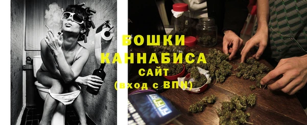 дживик Костерёво