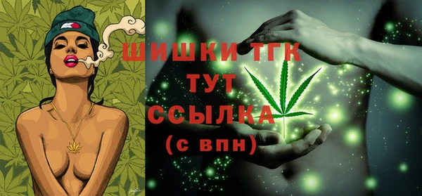 PSILOCYBIN Краснослободск