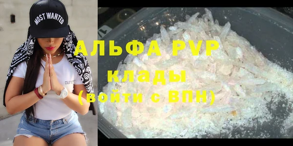 PSILOCYBIN Краснослободск