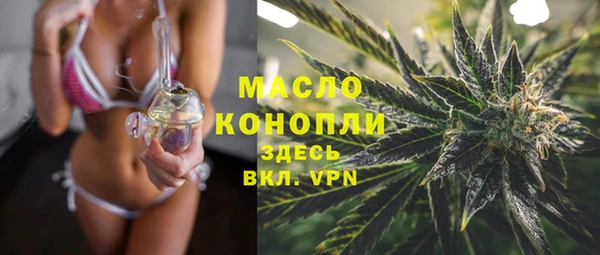 индика Краснотурьинск